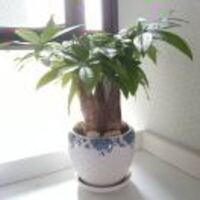 518227b913c3cefdb2c5a89ace89be855c237991