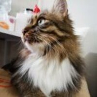 D1dc5085d47b9987a8ebbe4a4c45e52bb1fbcef9