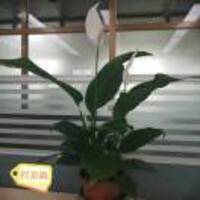 1d69c494160cea82332891f7628f5b821086bfaa