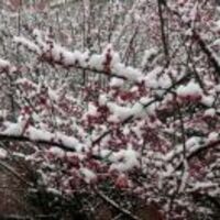 Cde14bc0eab04df3f3a7997bacb7eb38d983969f