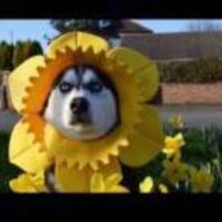 252d20140019b2fe64c45e15057d6a64f926d710