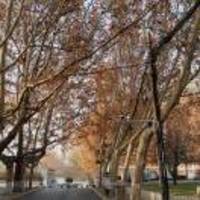 C87647cb9a45c200e6e18df998d43f6e1fdf44d1