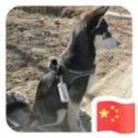 4d9e1ff0a4f287f04bca87c00e9aecef205ae427