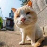 8c2ce3dabac364f65cb1f5a81ca543a29c568800