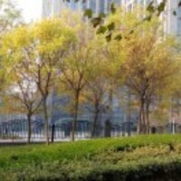 050edcbebb44101769effd5808ac639b0d1c44ba