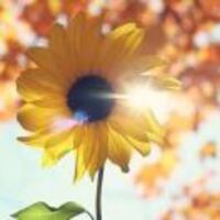 18ca88dd02d442479a6b6398d75256c9b15f127f