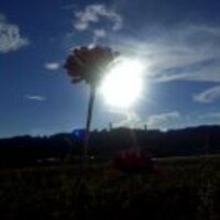 E469502f28ba68be9fb65f348393ed9bcd5a6252