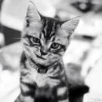 5f958816869427d8859067ef9f6ecd86d3d587ff