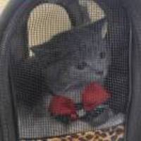 A43899d39c6326bf3a63a617de443255cade0443