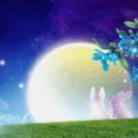 907cd103f6ad376272652f25aefdc86957880aa0