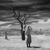 E14cd5f31f3c73407bf8b3cab323d8232d93cee0