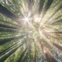 75adc08757d45f2f65b880871827d9f0931e3bed