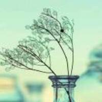 9f798a89e90e9dbf46b77ce7f3cce09fb0b9acc5