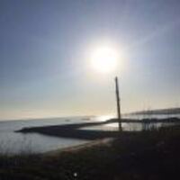 Ffd91867377d42d74e7e1249591c2b65ee6dea6c