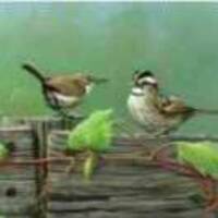83c200c3eb4cb3fd4a11081996e55ef049289fe1