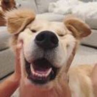 22dd72e0708c6f2ca7c9542ab80543368338a851