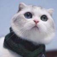 F8fd7c9f48601cf0c7001d00ecb5f6b73dec176d