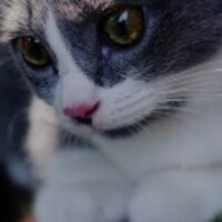 130e9e38c7e317c17b654b4c8b0fc62cda8e923d