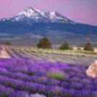 A8923e9bbe511accceebd75365c3989f4372183e