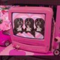 79663b28bb95ce518c6f30e026ebf3c78baece27