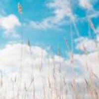 02b7bf230e84b8afe41670a099b062aa10ae58a0