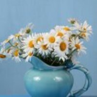 10c72b82b20d4158122327b0248acc95aa0a588b