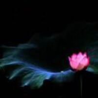 A00e5a5bf14452e3b3936b32aa220f05c5f58651