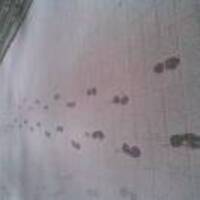 Cf63975ec2a72a34ccd2047037dd5bd33774a0dd