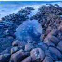 24b80c2b9bb2b7c29b66ef8dd48cb2a797465fea