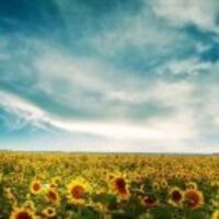 Be9be5f73c19fe2e7b8b8618e2c0e466f9043848