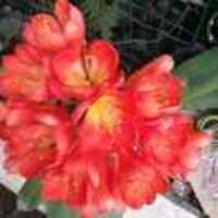 E145fd7cb7769914b4dd6566071a2b187df2565a