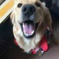 Ac8cfa6c15a33c5551a921a9d04e2cca6a224789