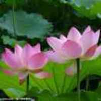 06dbb3c80fb7a2260b6e4b1ed5b512782819fdaa