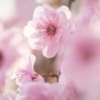 04d5ae0a8600f3f436a2eecece89b185804efa81