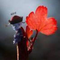 9b06740f9a781d044db59137ac1342895651c932