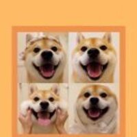 63065472f0ac115ab4d51943fad8c88d37afa669