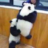 Cdeda367427653099f8716716adad72a4aaec5da