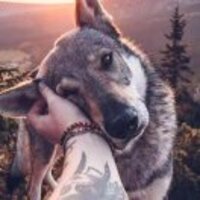 A1f1fc4fa34728e21b35b05cb7e8f357a9268766