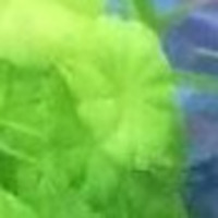 Ecf3460928f743f6b99786380eacaec4ed5bc2cb