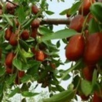 87896372be29109d43c517ce484e1b20c26c0124