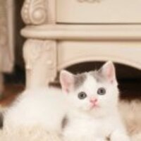 697c35441560db951468220ac02c9227d3b778c3