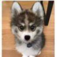 196ba5847d79545466b84b911476b240d17350ac