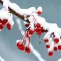 Cdc5ccc517522e3006d45fe4c81b9893f58a2925