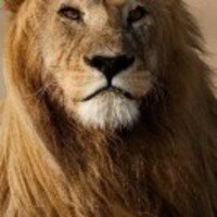 Edc59a0a9d240731607023a808216c16d589d324