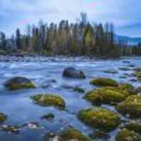 6eb4315813c214f735ea194d6c3ec40e23f4bd02