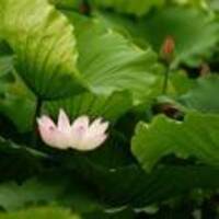 763a71eec4d25a757ac6afb14d34d992f007e80e