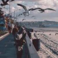 D64d04444bb7d42c85cb4097ff5d304f9ec718c5