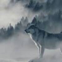 91d2bbe185def65cdb44f45654e244d5c204d245