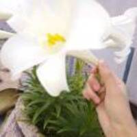 D1f99b18df6284e366b5a306192b625d9f5b62da