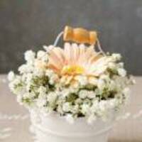 353fdd2f71fce7d15f11a71e212efbd49fed0bf1